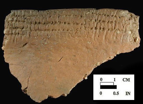 Potomac Creek cord-wrapped stick decorated rim sherd, from the Farmington Landing site 18PR4/SUR, exterior surface.